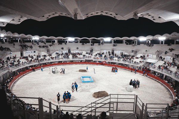 Quels rôles jouent les femmes dans le sport aujourd'hui ?